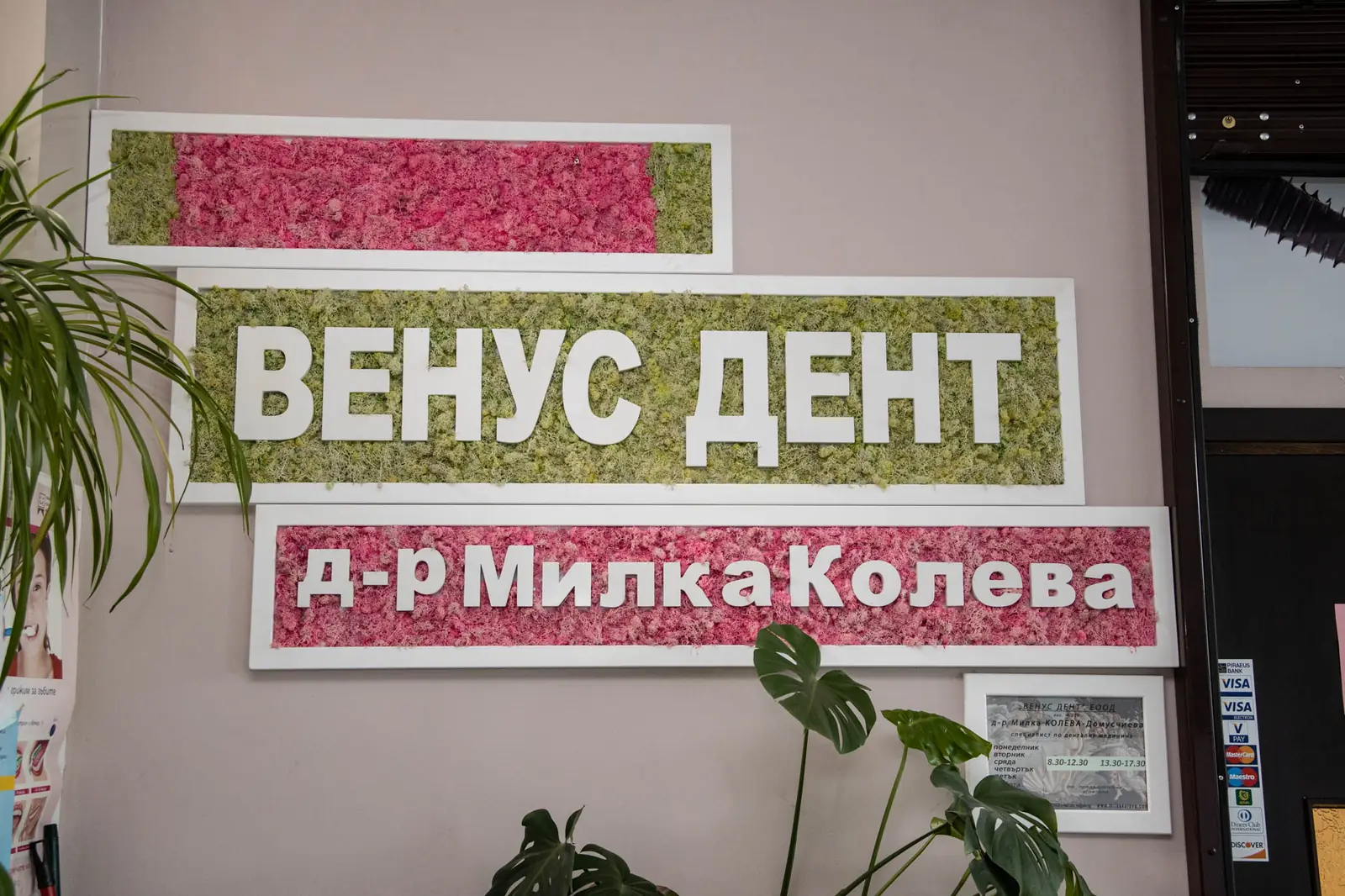 Добре дошли във Венус Дент